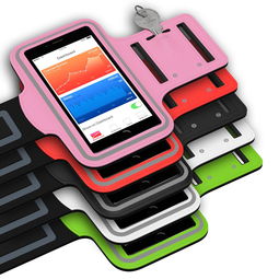 智能体育设备用户使用行为分析，智能体育装备