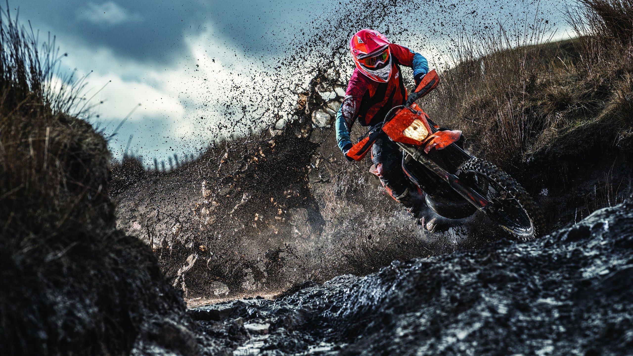 运动员训练计划个性化，运动员训练目标怎么写